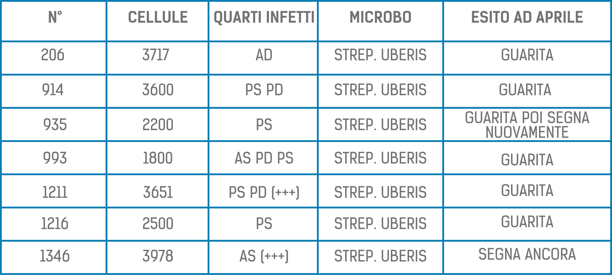 batteri mastite bovina