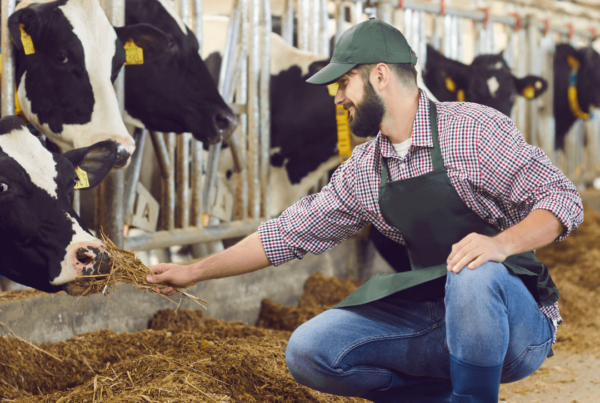 Mario Rossi, Allevatore