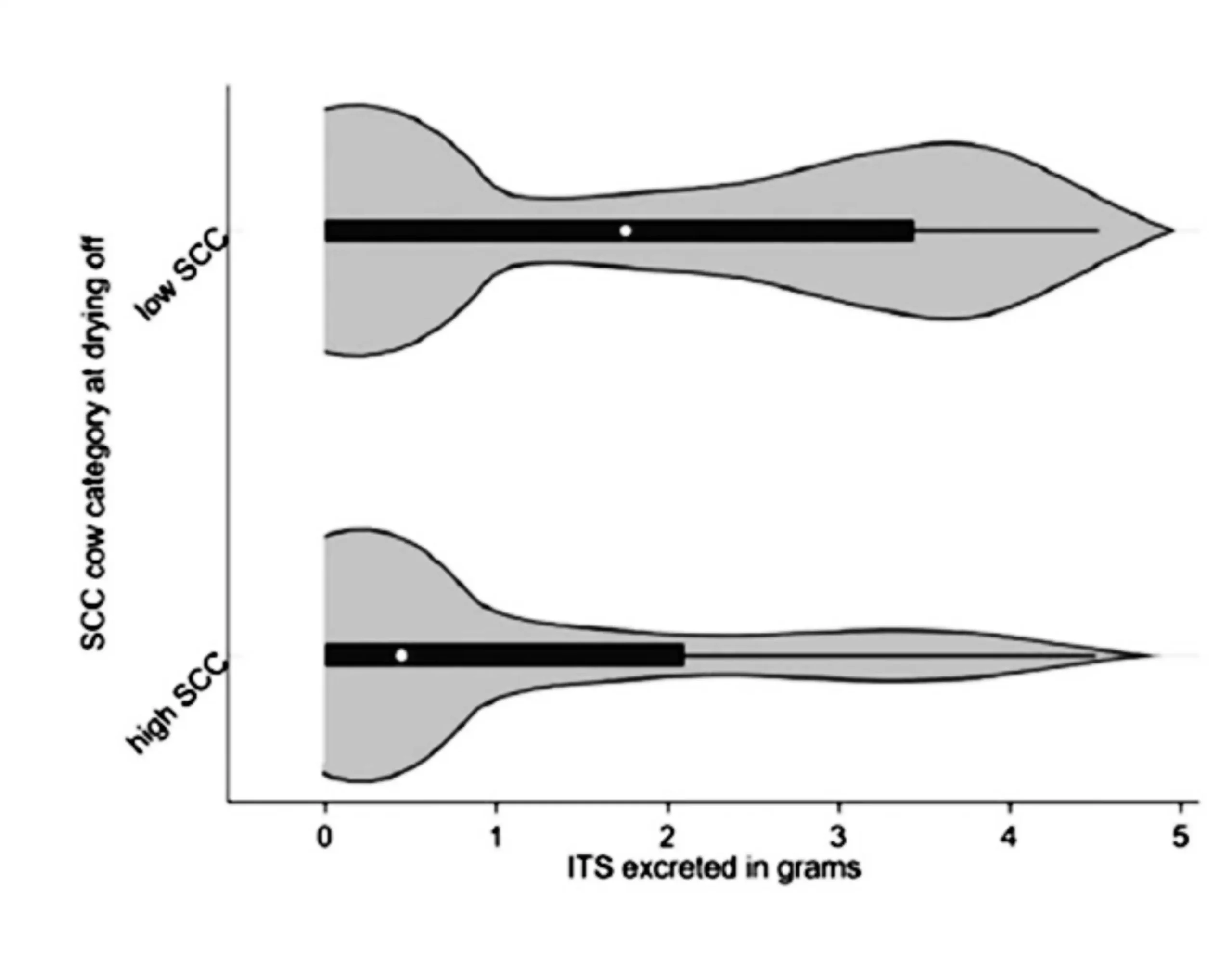 Its In Grammi Per Le Categorie Di Mucche Con Bassa (low Scc) E Alta (high Scc) Conta Delle Cellule Somatiche Al Momento Dell'asciugatura